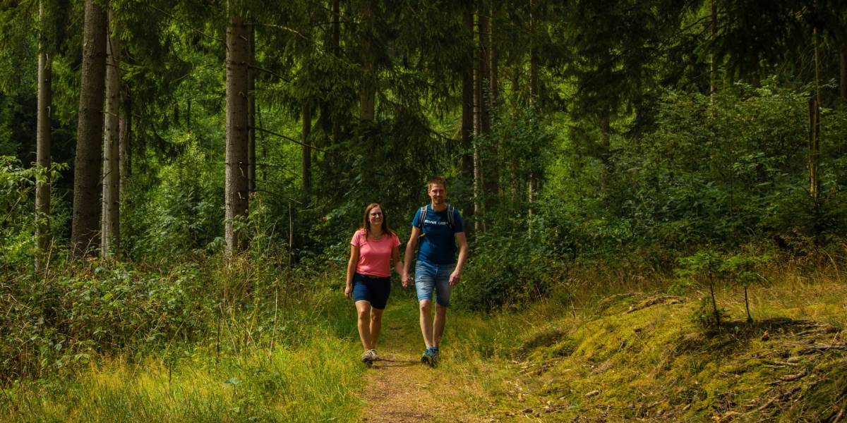 Wanderer im Fichtenwald auf dem Glashüttenweg © Bad Wünnenberg Touristik GmbH